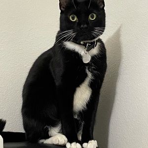 Meet your Posher, Ellie